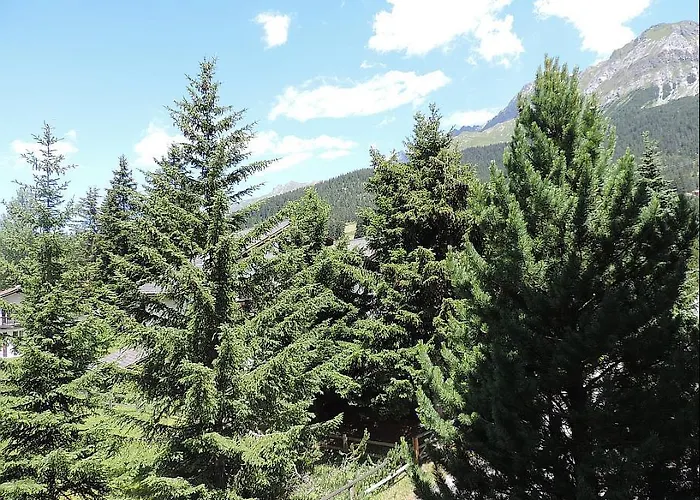 Daire Helvetia 2. Stock *